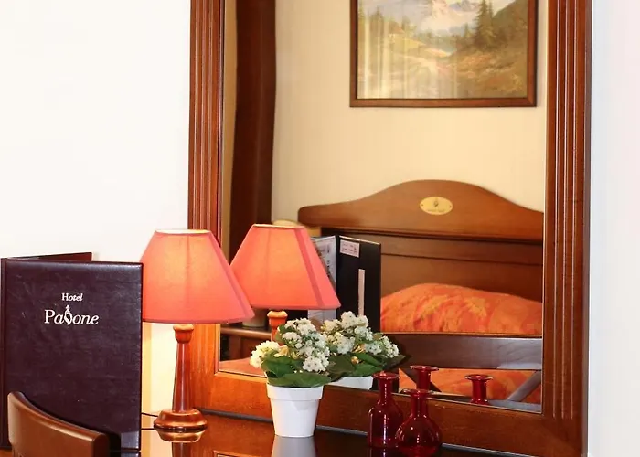 Hotel Pavone 3*
