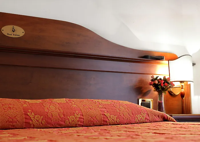 Hotel Pavone Mediolan